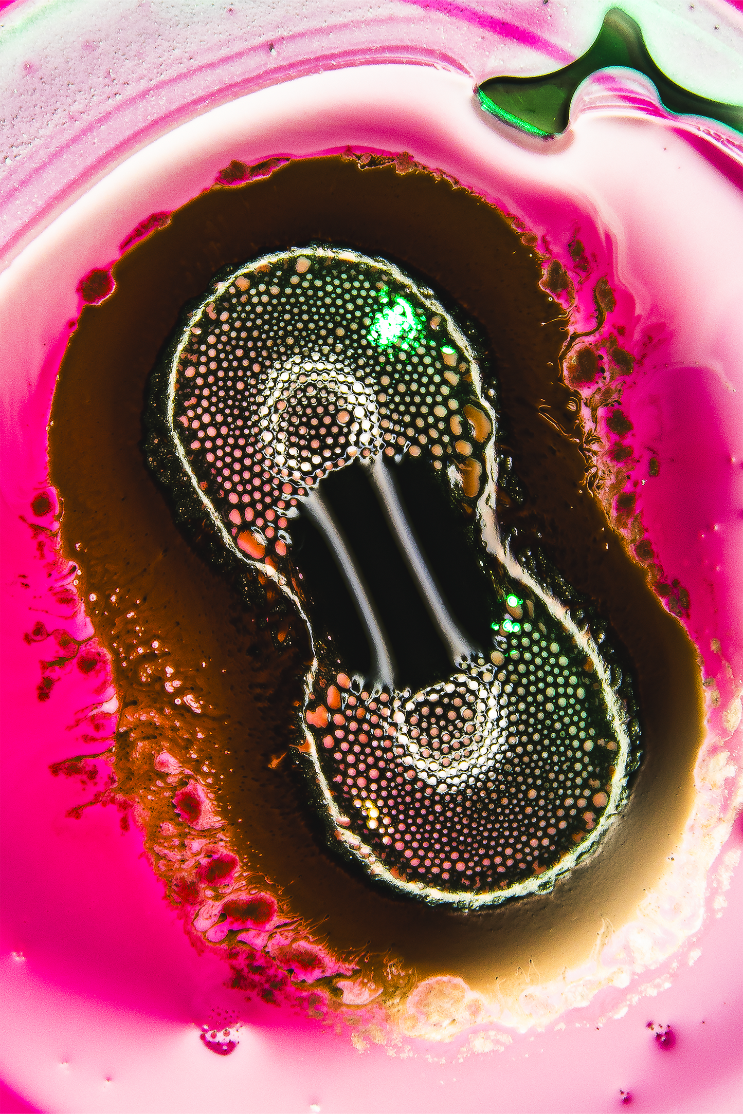 Splitting Cells