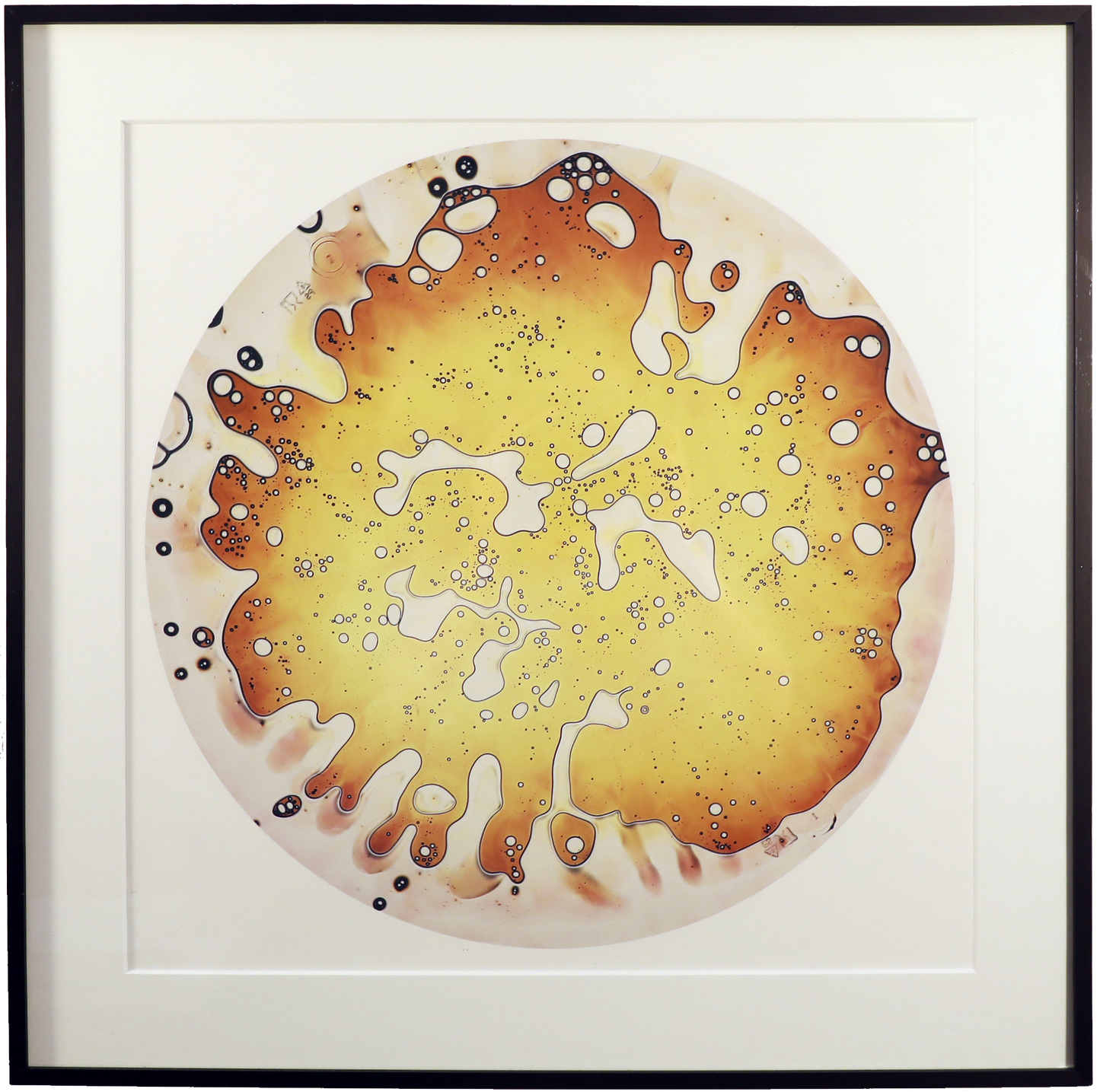 20"x 20" Fine Art Paper Print (Framed)