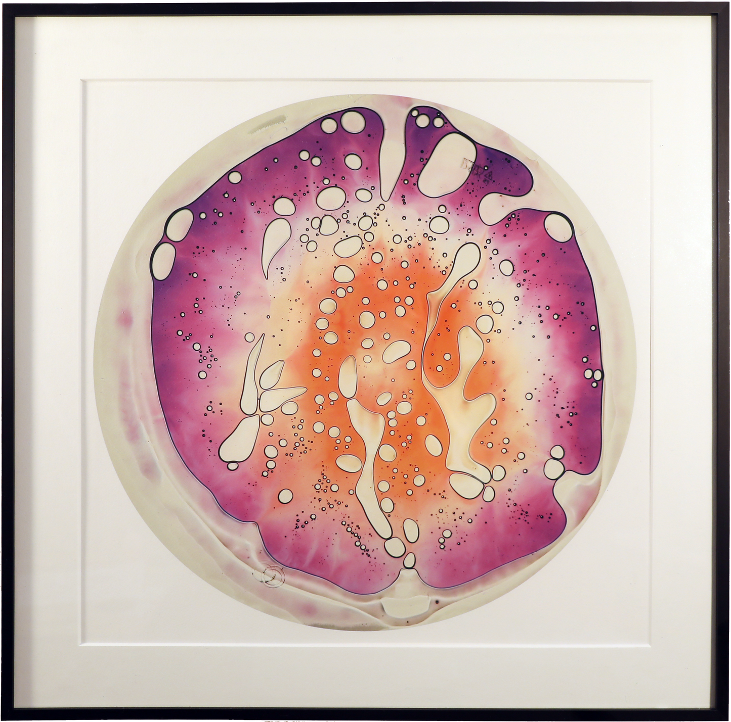 20"x 20" Fine Art Paper Print (Framed)